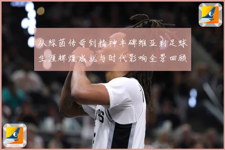 从绿茵传奇到精神丰碑维亚利足球生涯辉煌成就与时代影响全景回顾