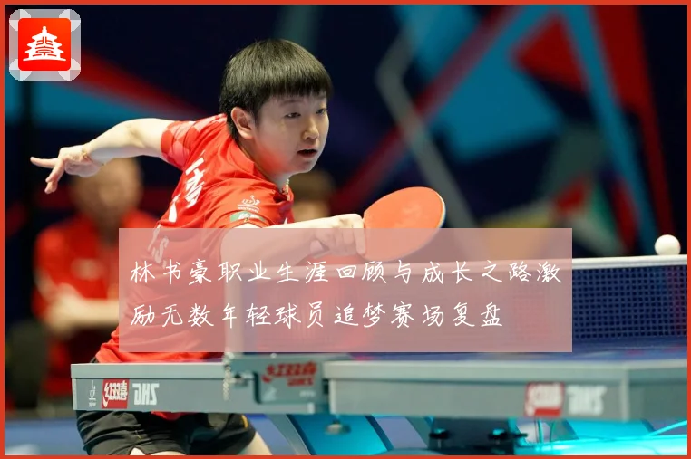 林书豪职业生涯回顾与成长之路激励无数年轻球员追梦赛场复盘