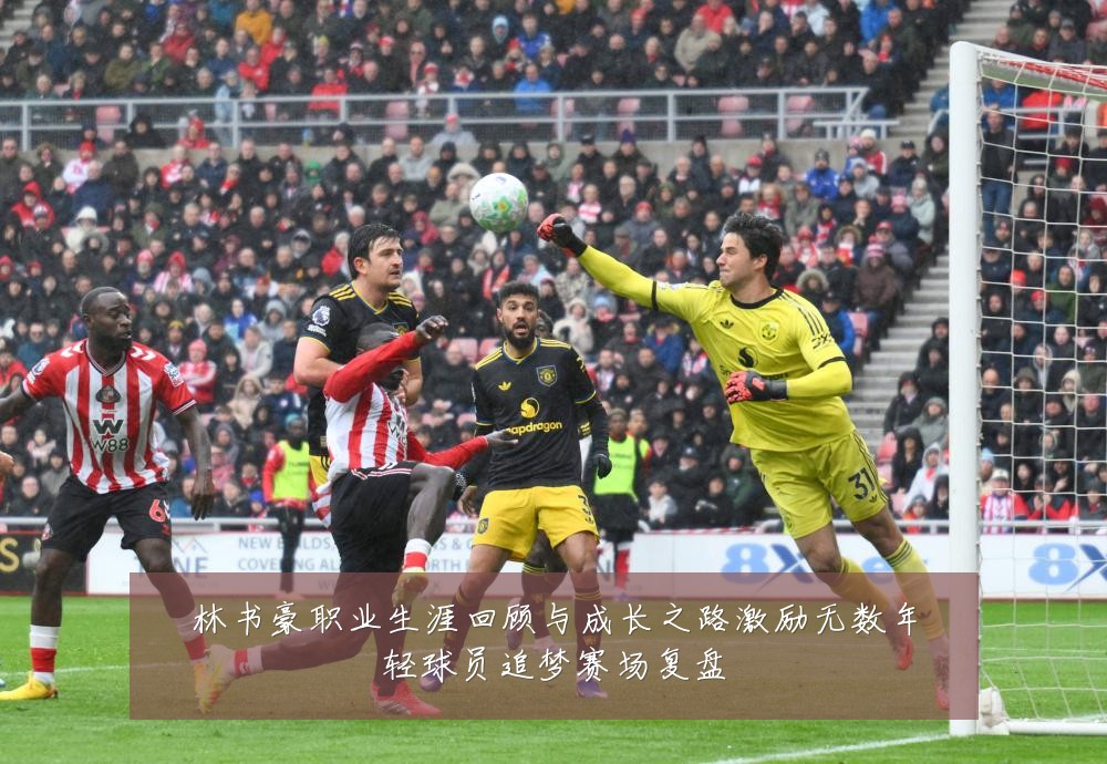 林书豪职业生涯回顾与成长之路激励无数年轻球员追梦赛场复盘